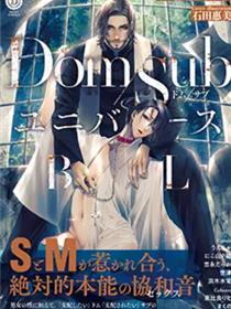 Dom/SubUniverseBL