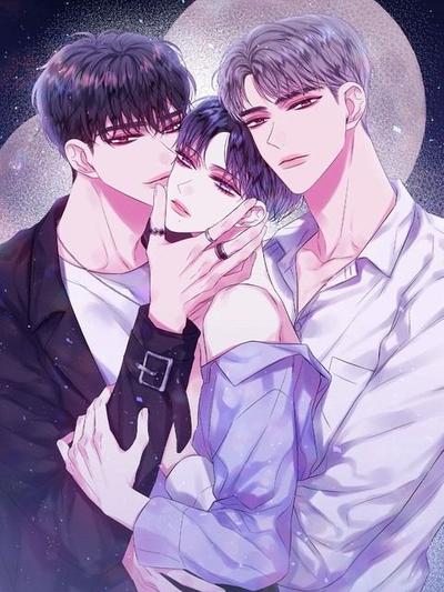 耽啵-第二次黎明