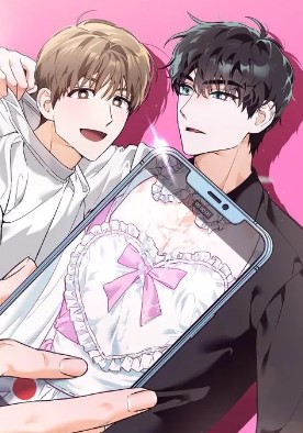 耽啵-我的职业是开发者