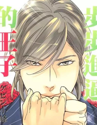 漫宝-步步进逼的王子