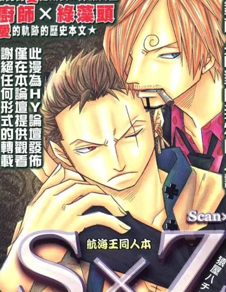漫宝-航海王同人本&mdash;S&times;Z贰斩式