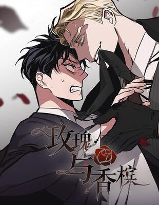 漫宝-玫瑰与香槟