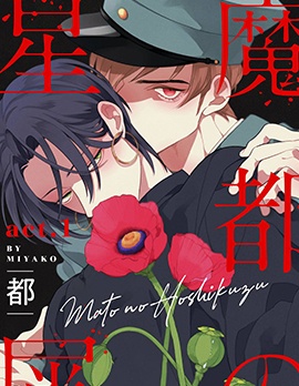 漫宝-魔都的星尘