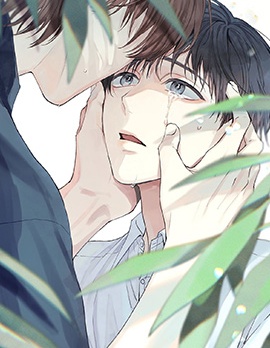 漫宝-mouth to mouse