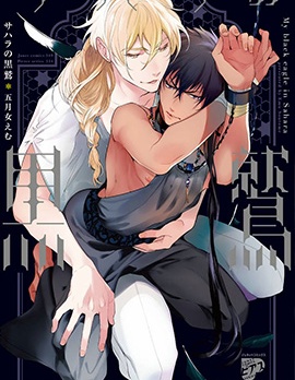 漫宝-撒哈拉的黑鹫