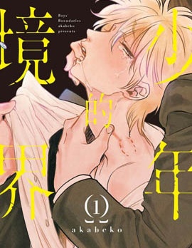 漫宝-少年的境界