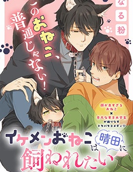 漫宝-帅气小猫想要晴田只饲养他一个