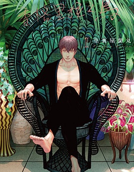 漫宝-香格里拉之鸟