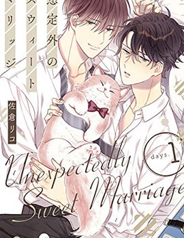 漫宝-预料外的甜蜜婚姻