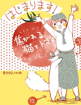 漫宝-朝思暮想的猫与番茄