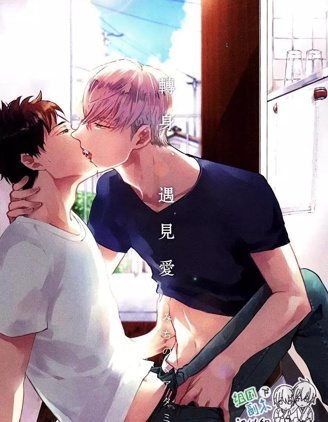 漫宝-转向我这边吧 爱