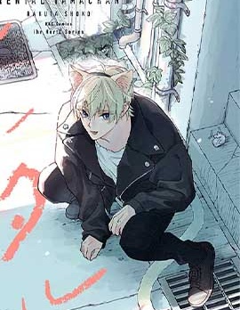 漫宝-租赁猫咪小珠