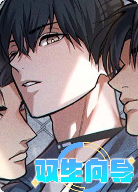 耽酷-双生向导
