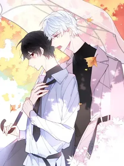 漫屯-叼只少爷回家