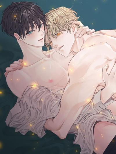 耽啵-阿尔法伴侣