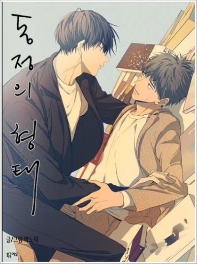 耽啵-同情的形态/同情的形式