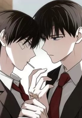 耽啵-问题性先导行动