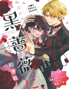 漫宝-不可轻易触碰那黑蔷薇