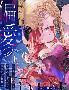 漫宝-魔法师的偏爱-True Route