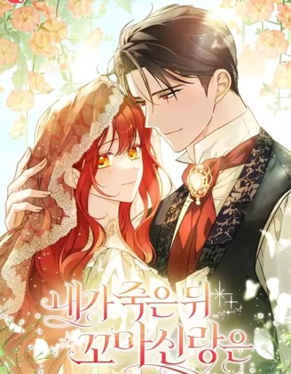 漫宝-我死后的小丈夫