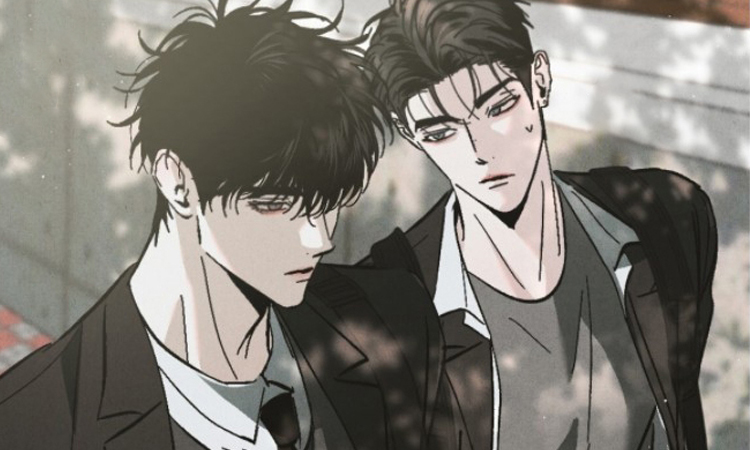 漫竹-不透明关系