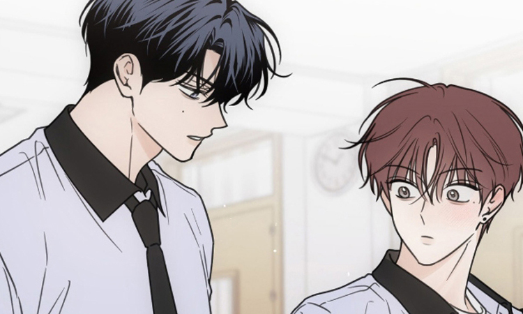 漫竹-雨后的陌生人