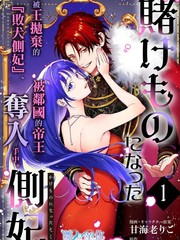 漫人-沦为筹码的侧妃