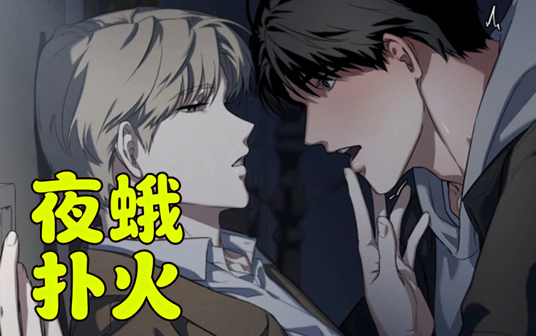 漫竹-夜蛾扑火