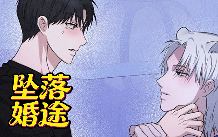 漫竹-坠落婚途